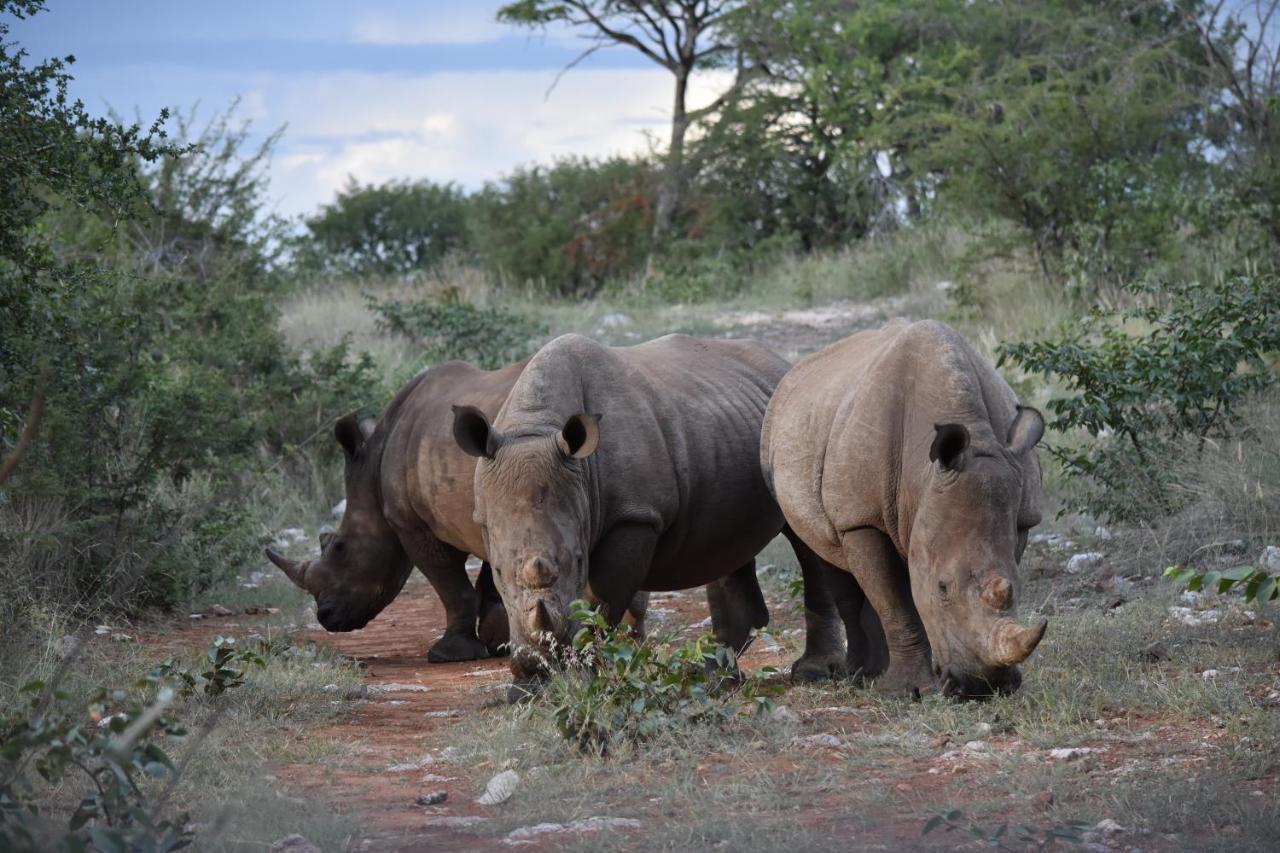 Kifaru Luxury Lodge オウチョ エクステリア 写真