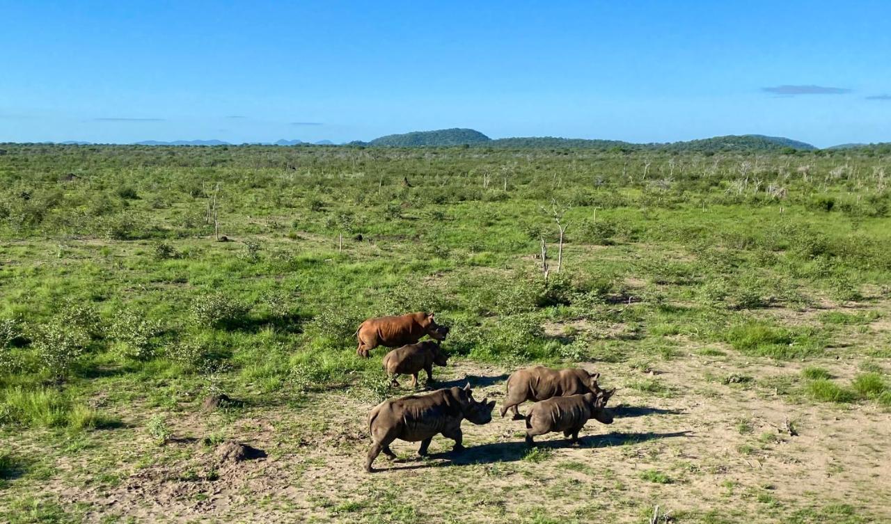 Kifaru Luxury Lodge オウチョ エクステリア 写真