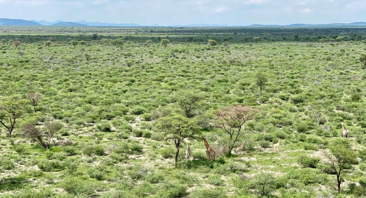 Kifaru Luxury Lodge オウチョ エクステリア 写真