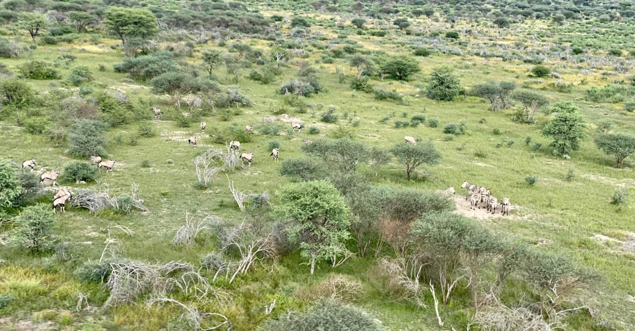Kifaru Luxury Lodge オウチョ エクステリア 写真