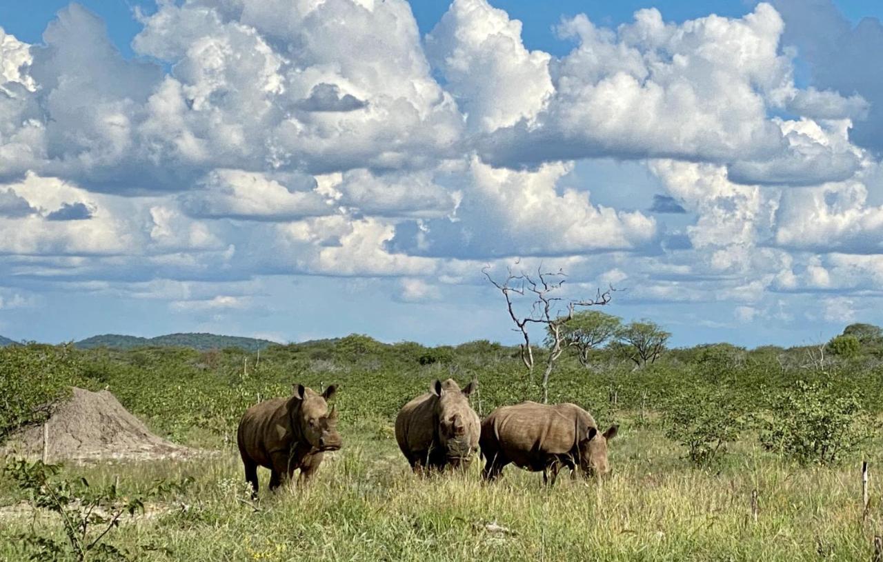 Kifaru Luxury Lodge オウチョ エクステリア 写真