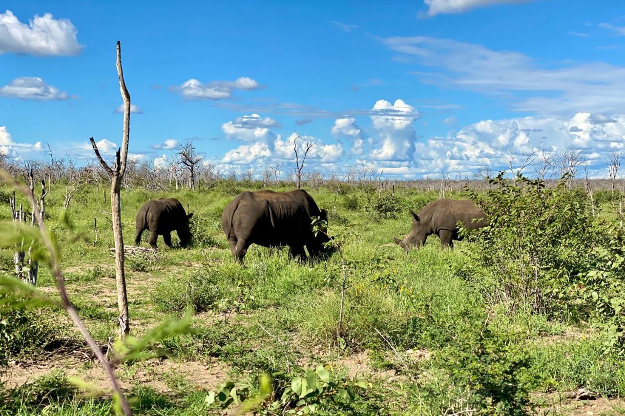 Kifaru Luxury Lodge オウチョ エクステリア 写真